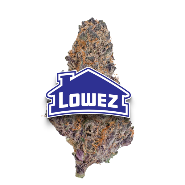 Blue Cherry Gelato - Image 2