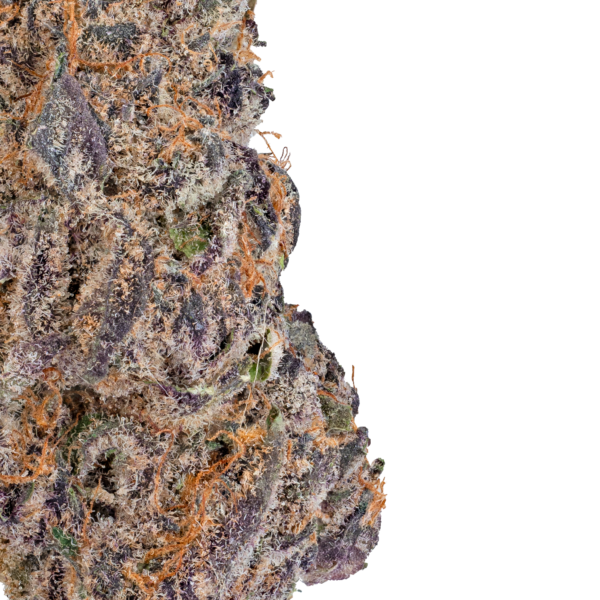 Blue Cherry Gelato - Image 3