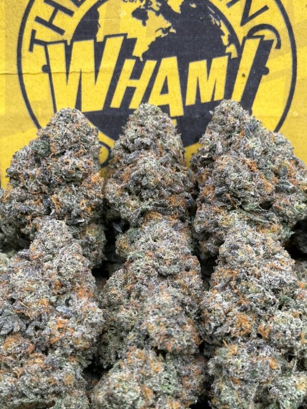 Jelly Donuts (Indica)